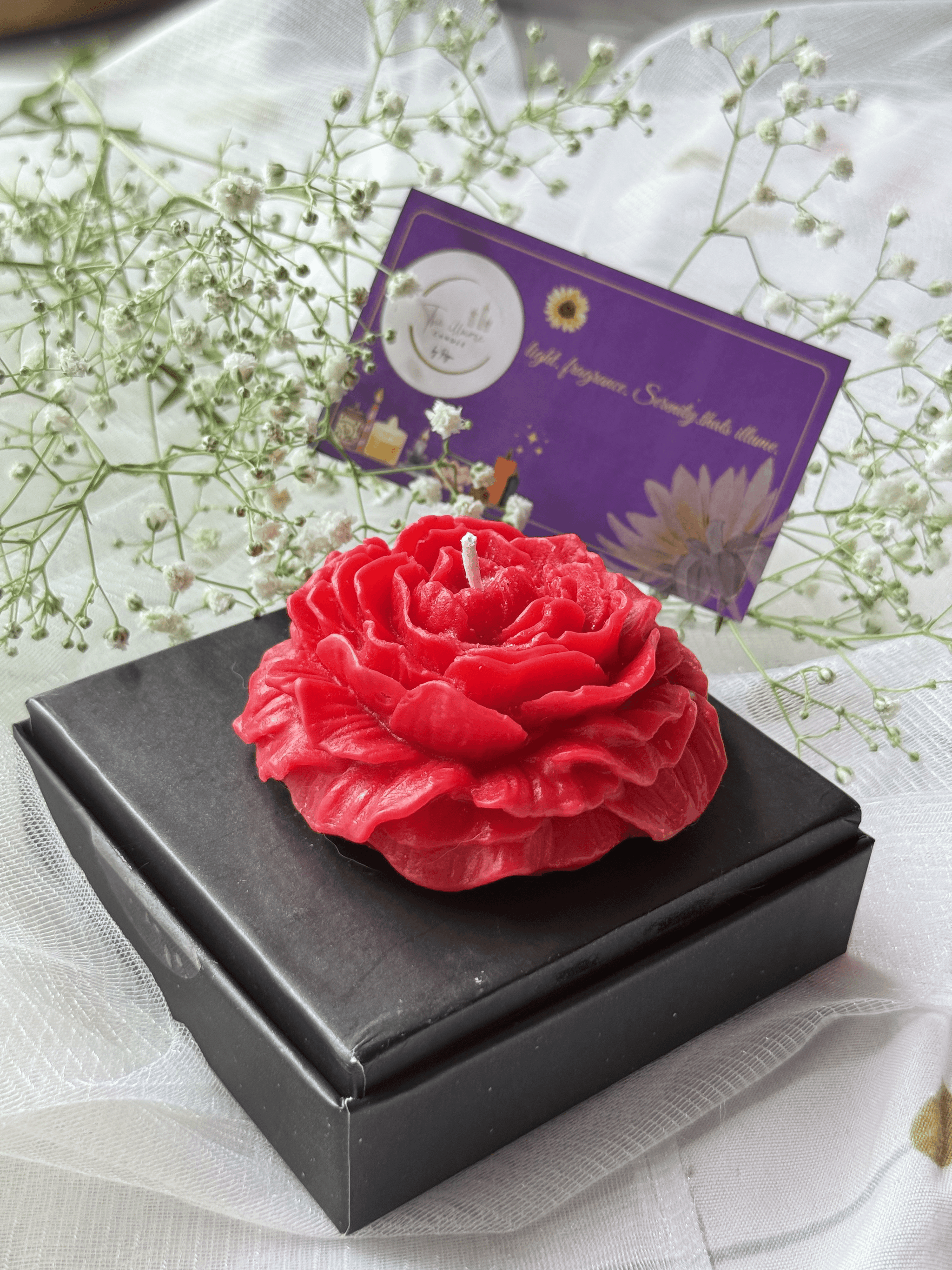 Sculpted Scarlet Peony Bloom